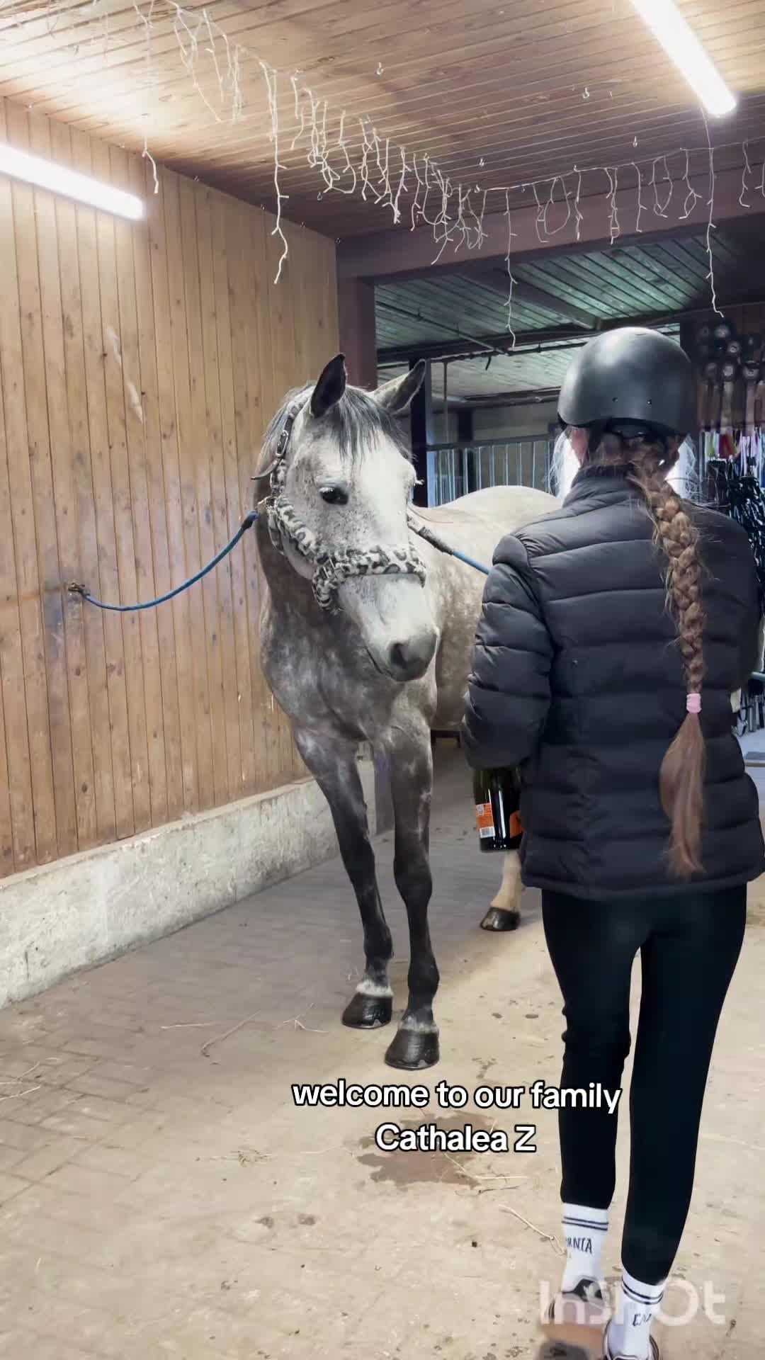 @🐴