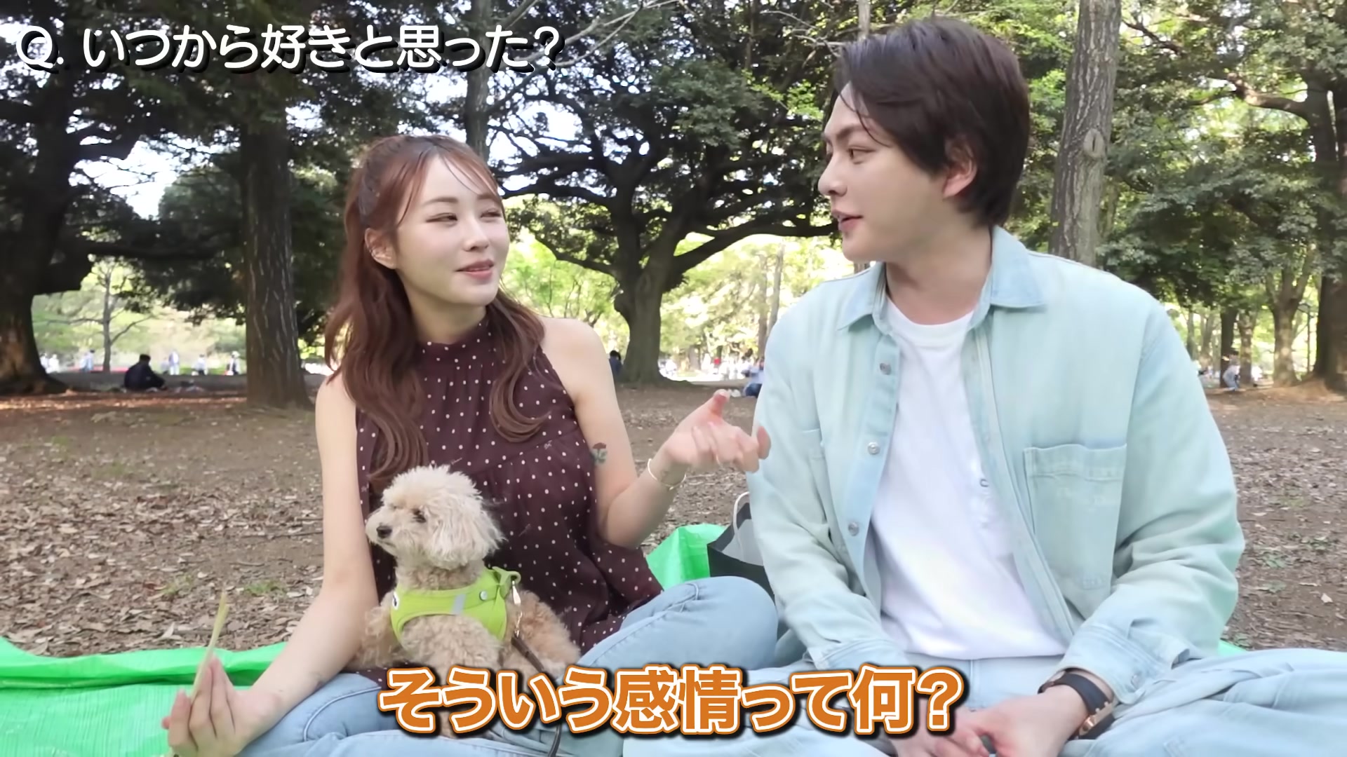 @三崎優太 MISAKI のファン