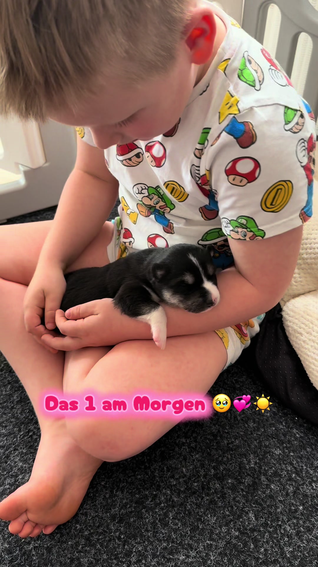 @Mylo_wird_zum_Assistenzhund