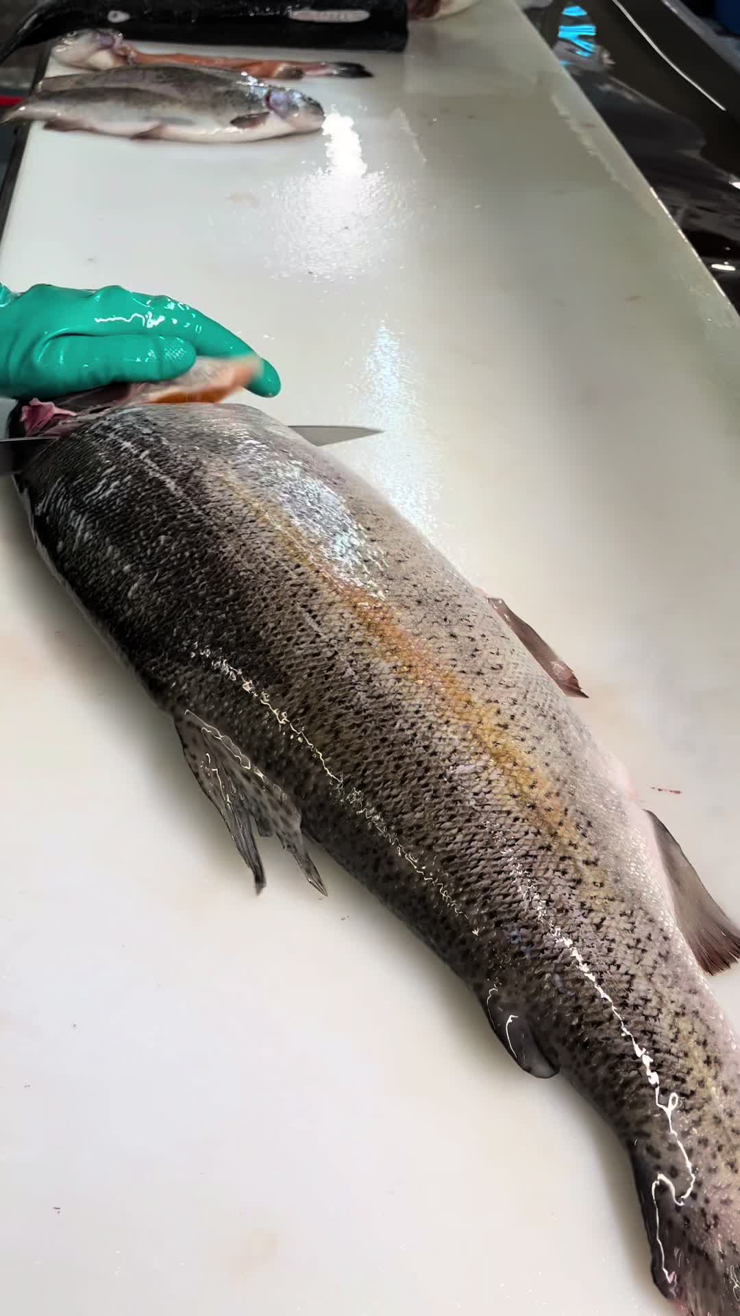 @Direct Seafoods London