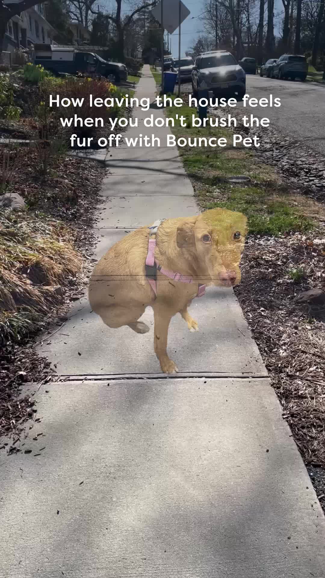 @Bounce