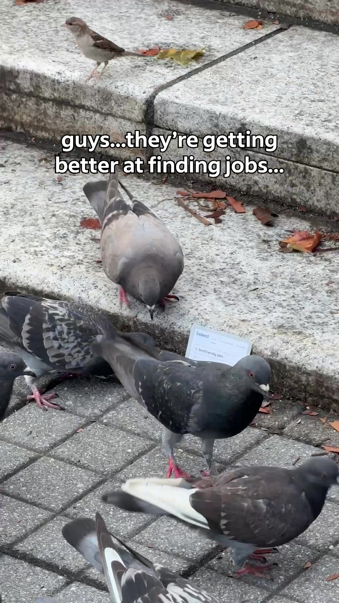 @Indeed
