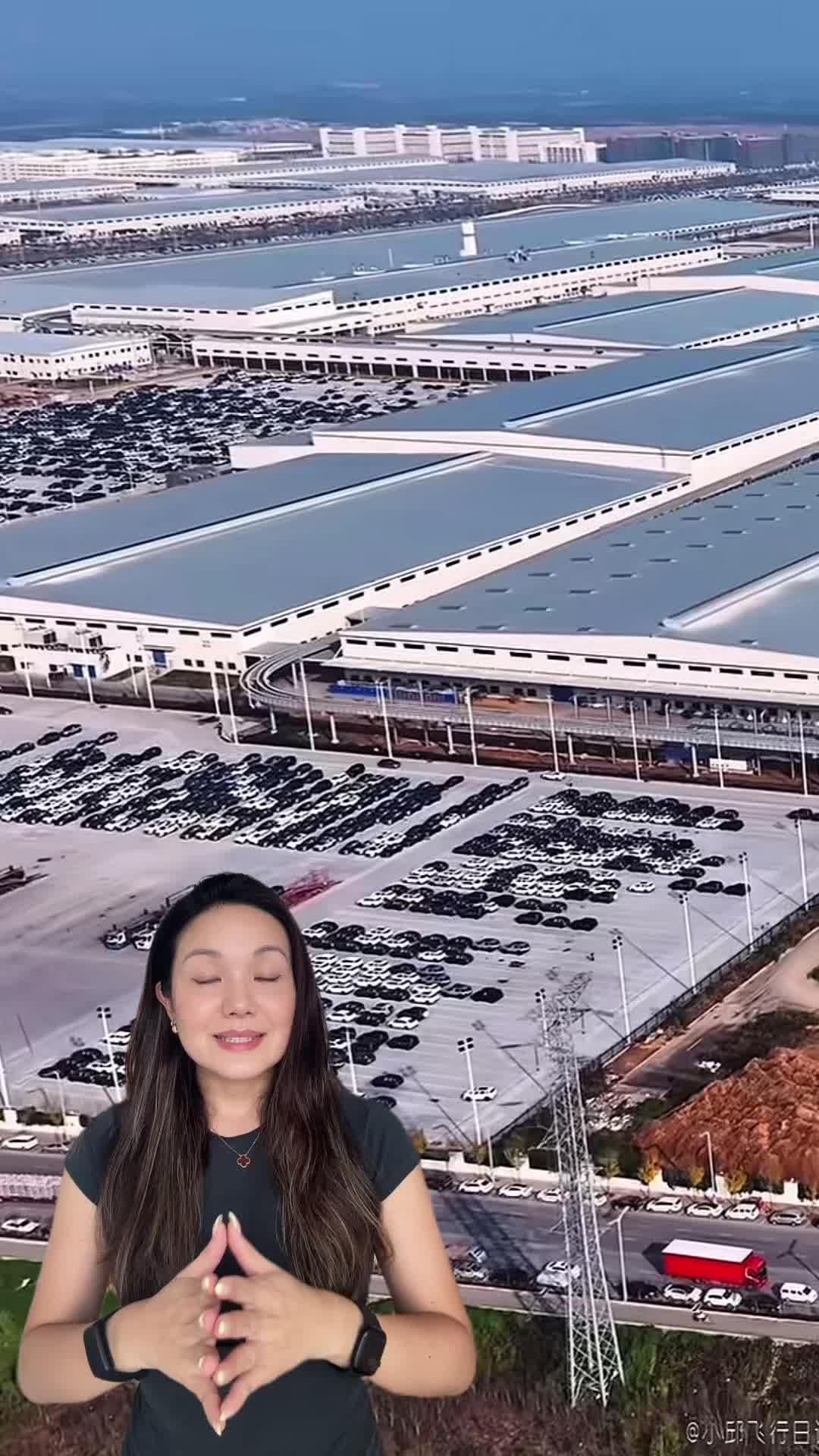 @alicia.chinifycn