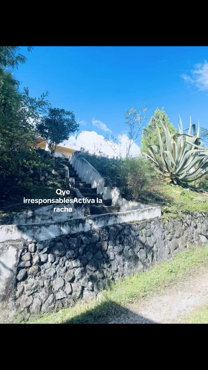 @larachaa13