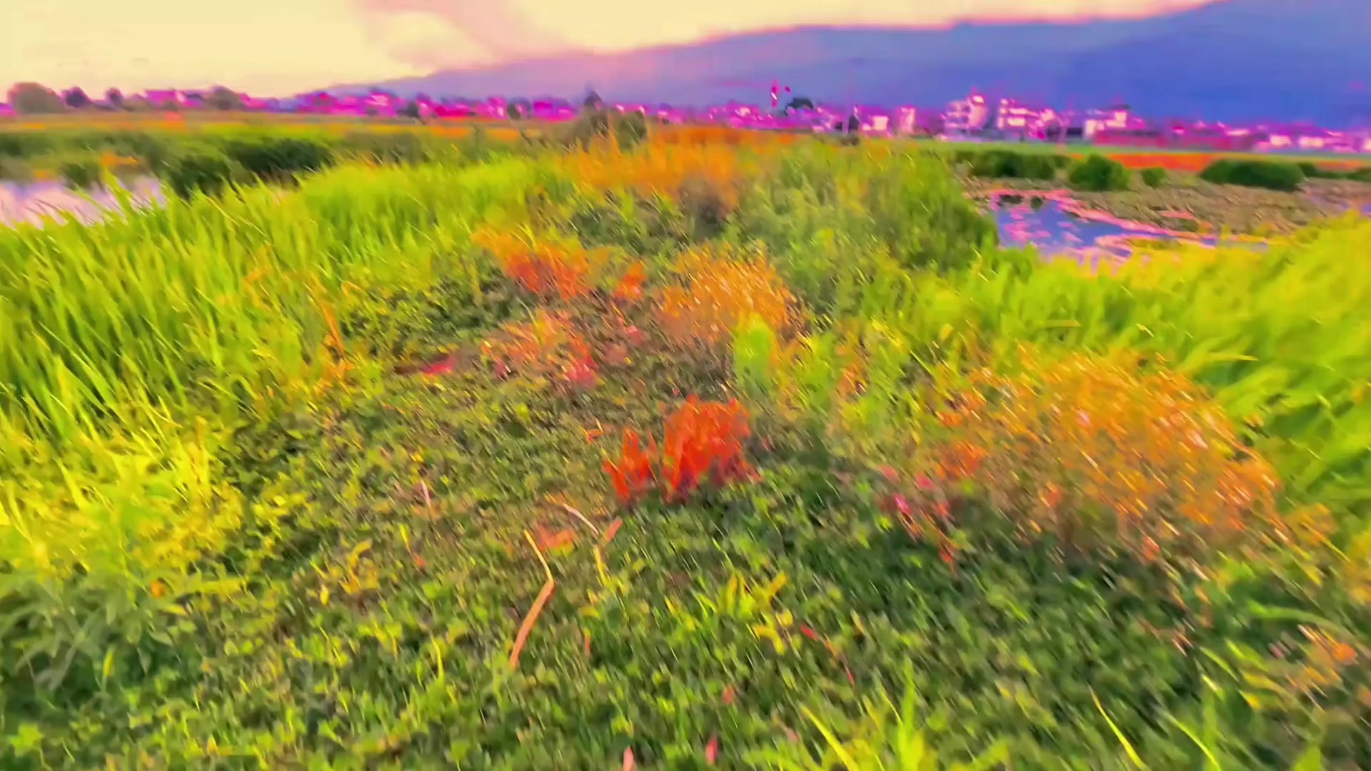@nh.