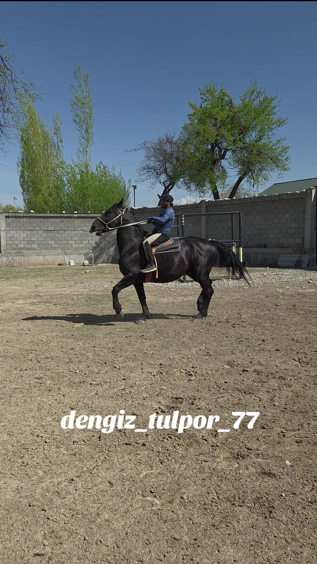 @dengiz_tulpor_77