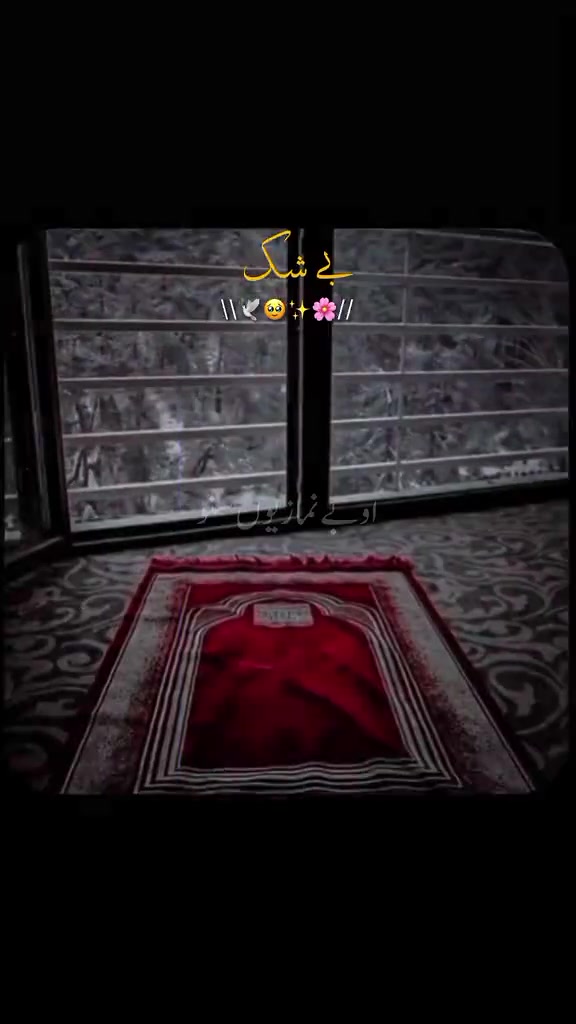@👑👑سید گیلانی 💛💛