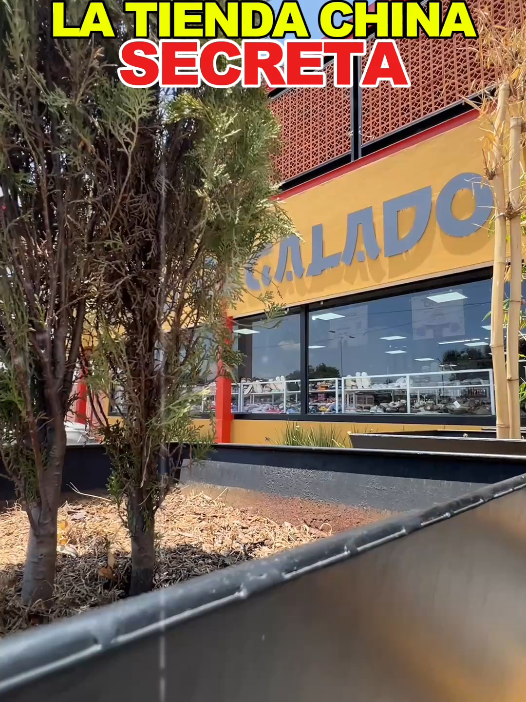 @ChinoRegalado