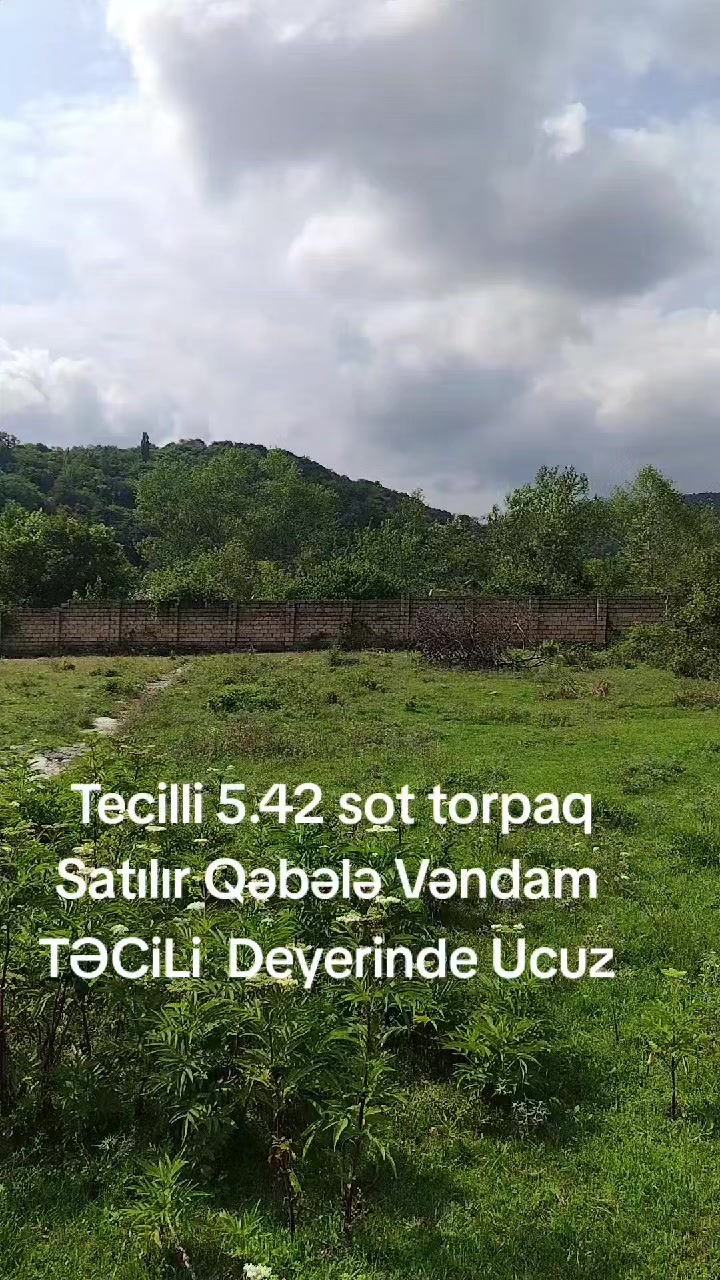 @Salam Salam
