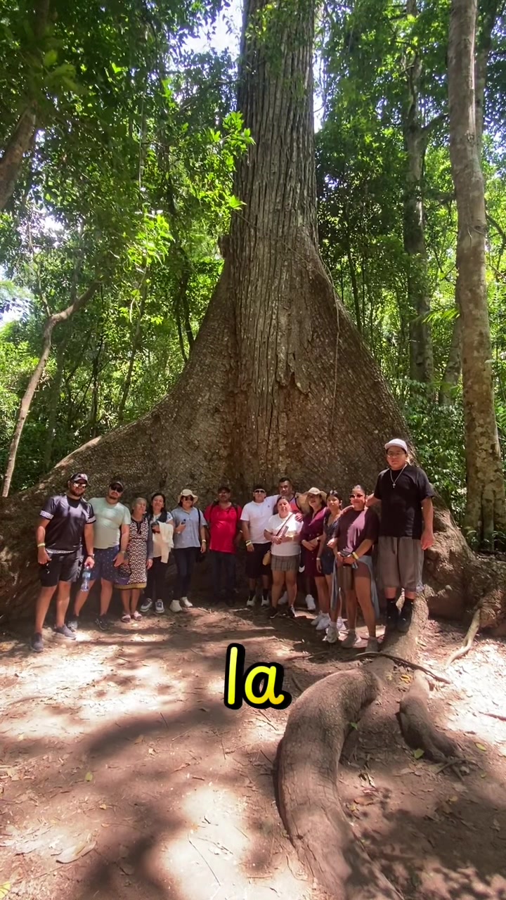 @Tony Tour&rsquo;s Pet&eacute;n_Guia_Local