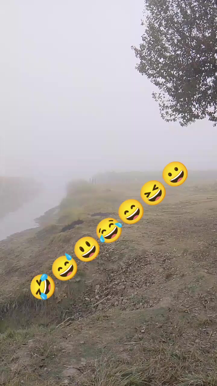 @bhai jaan