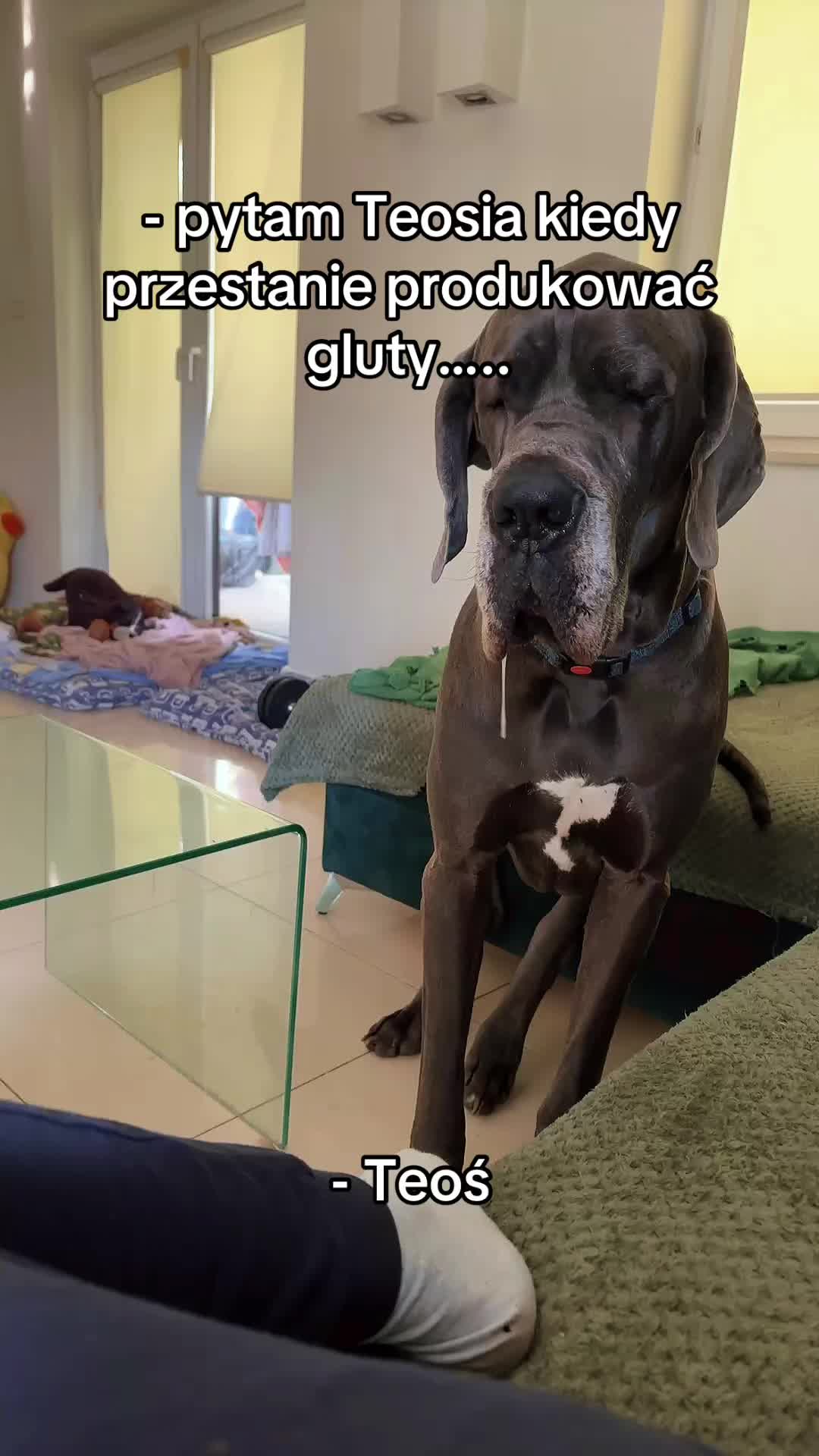 @It&rsquo;s a dog