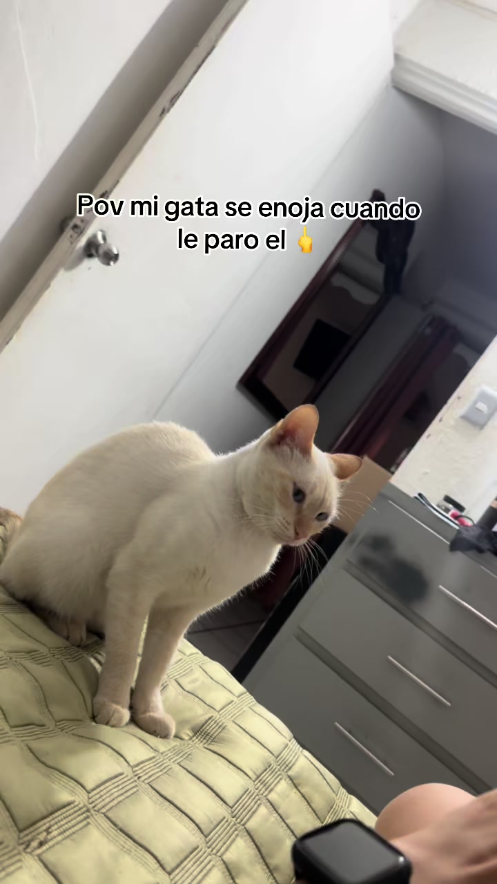 @Vanessa Villalvazo