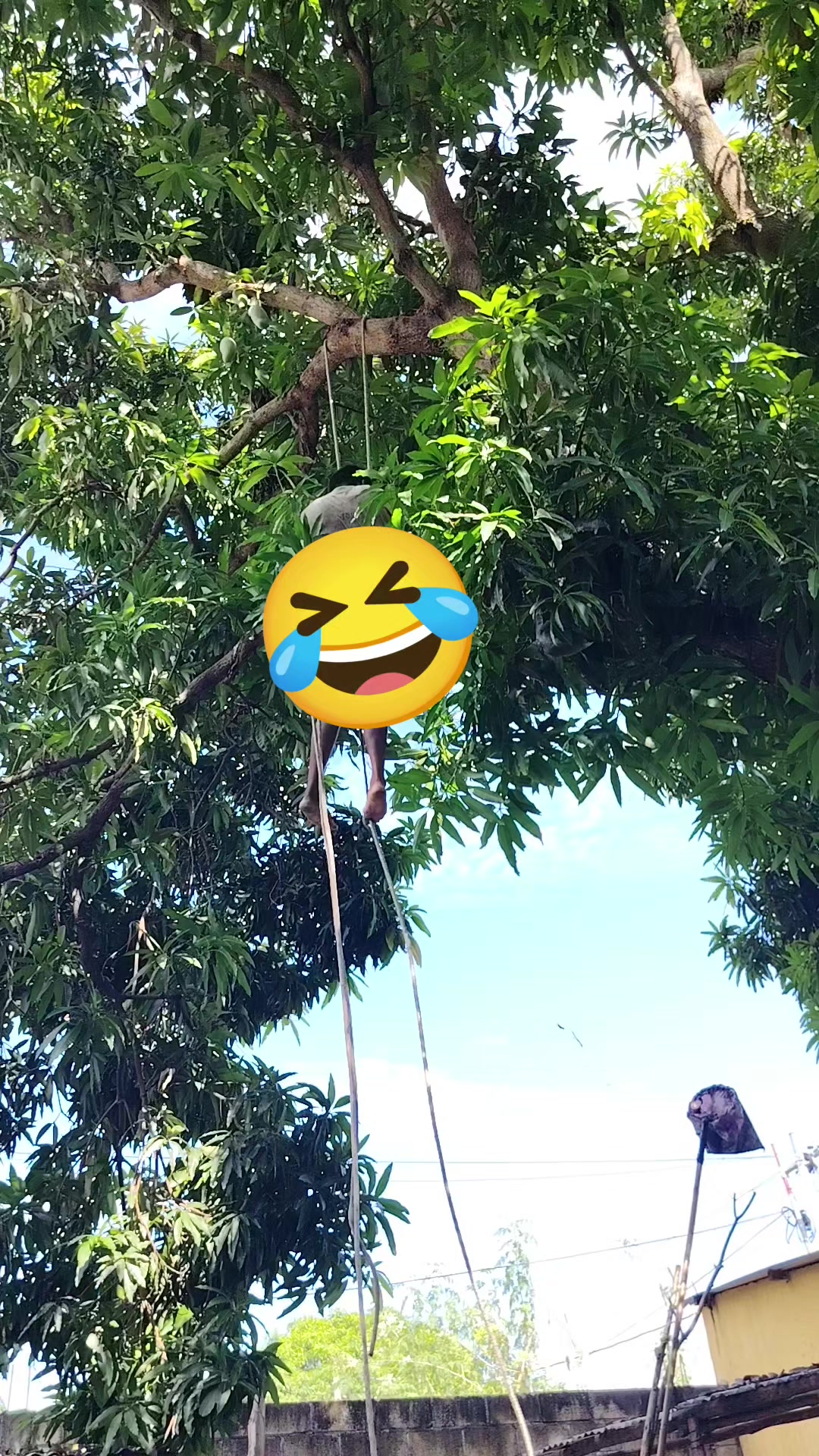 @luisa🌎🍀🪄⏳