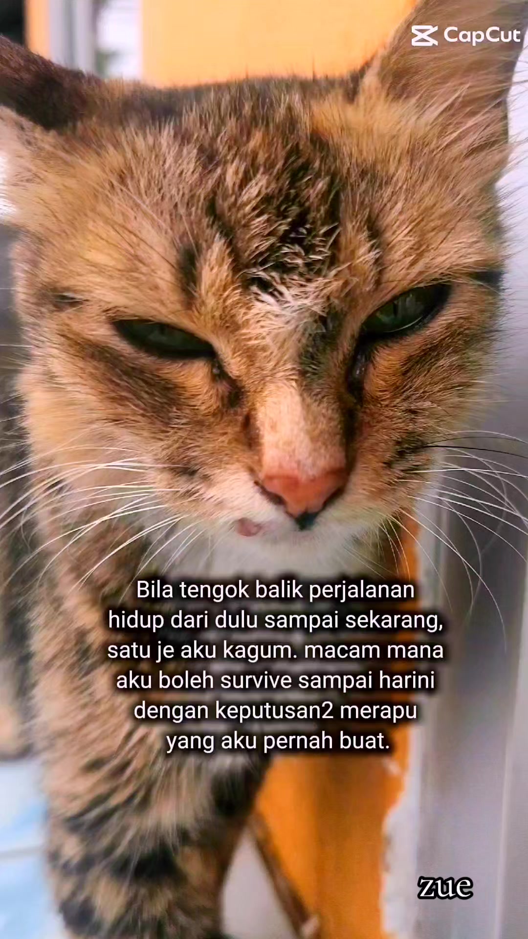 @zue1987
