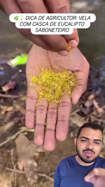 @Obrasilense