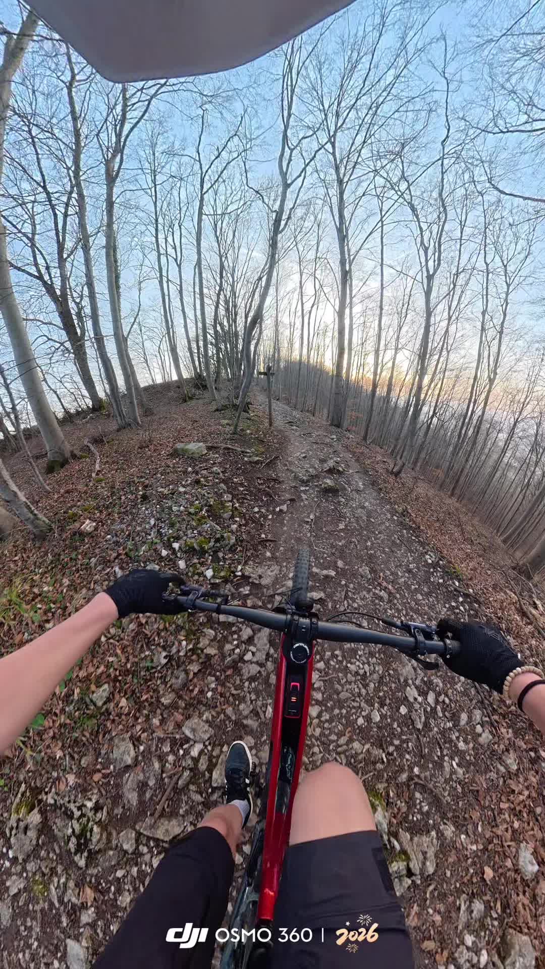 @Luca.mtb🇩🇪🦅✝️
