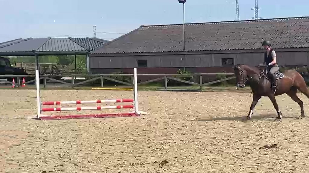@Mirtevanhal