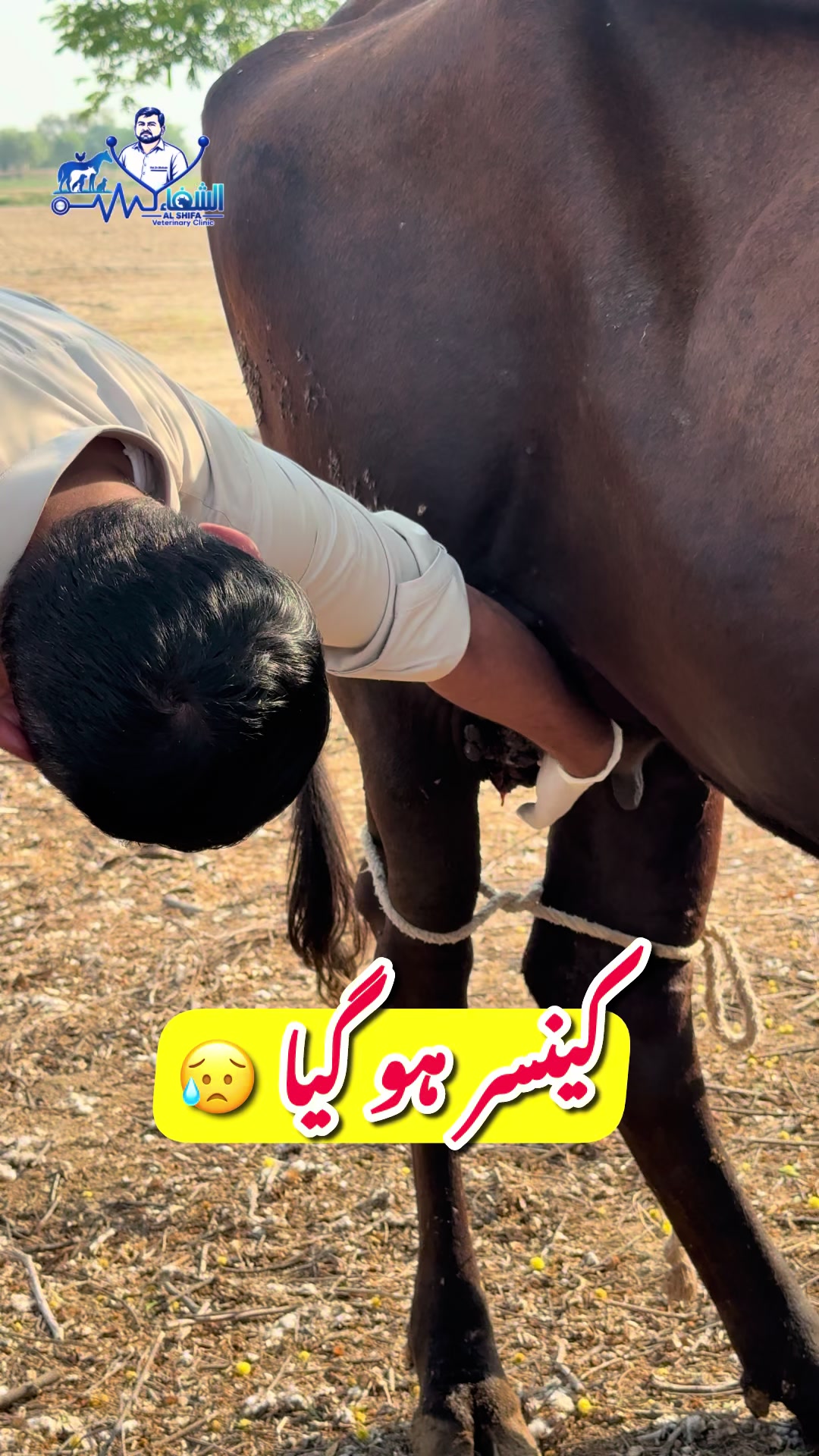@Dr.Mohsin