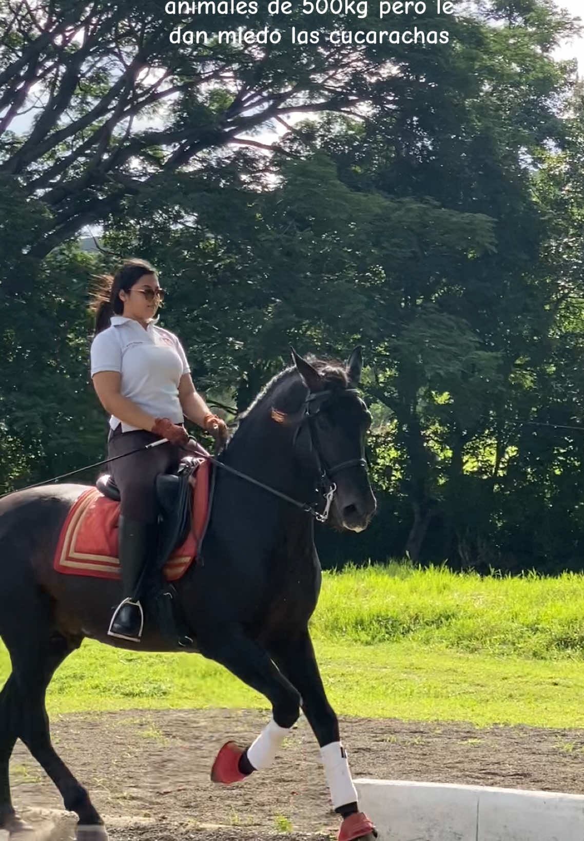 @Lau 🏇