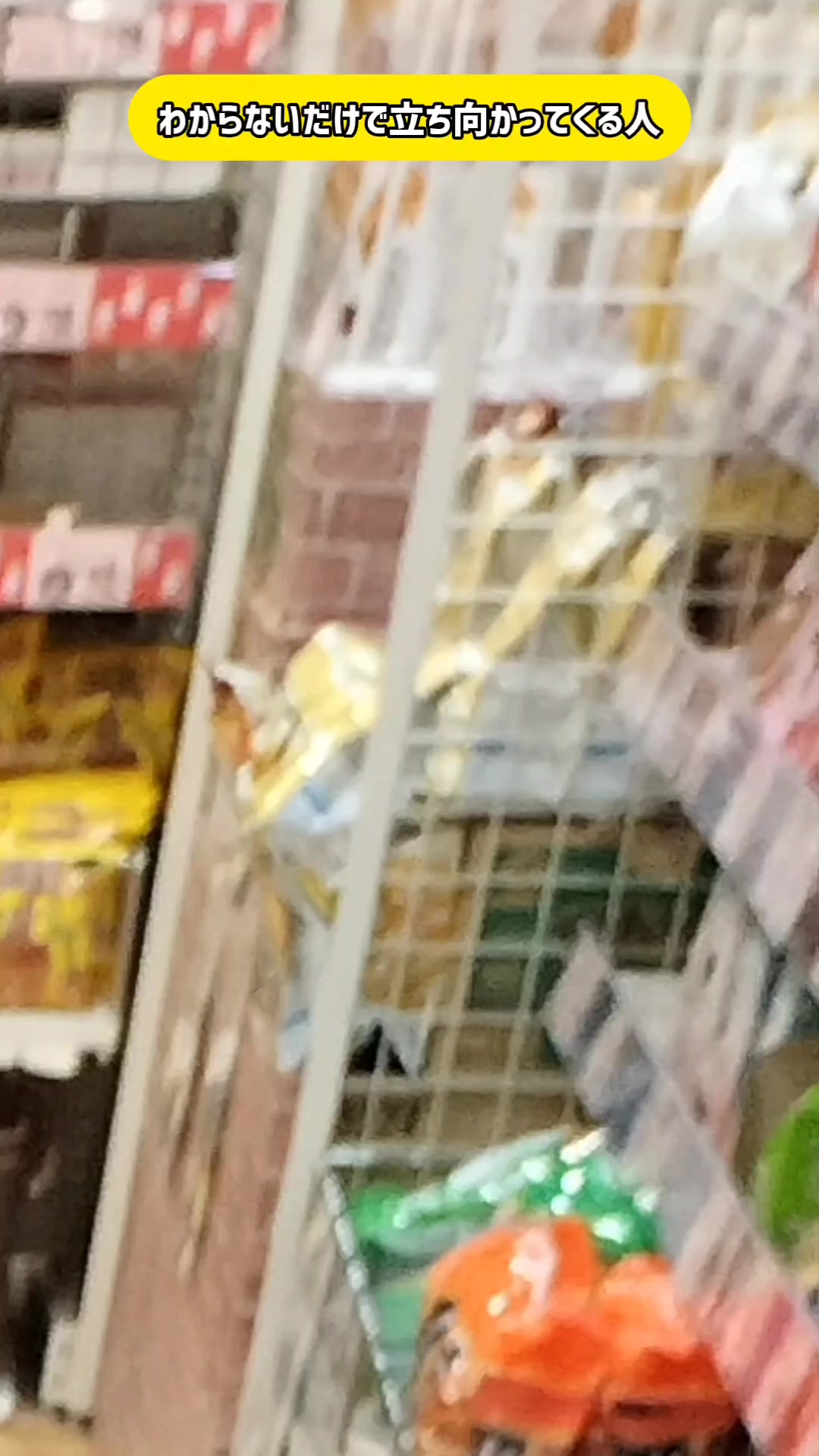 @カイドキッッコントチャンネル