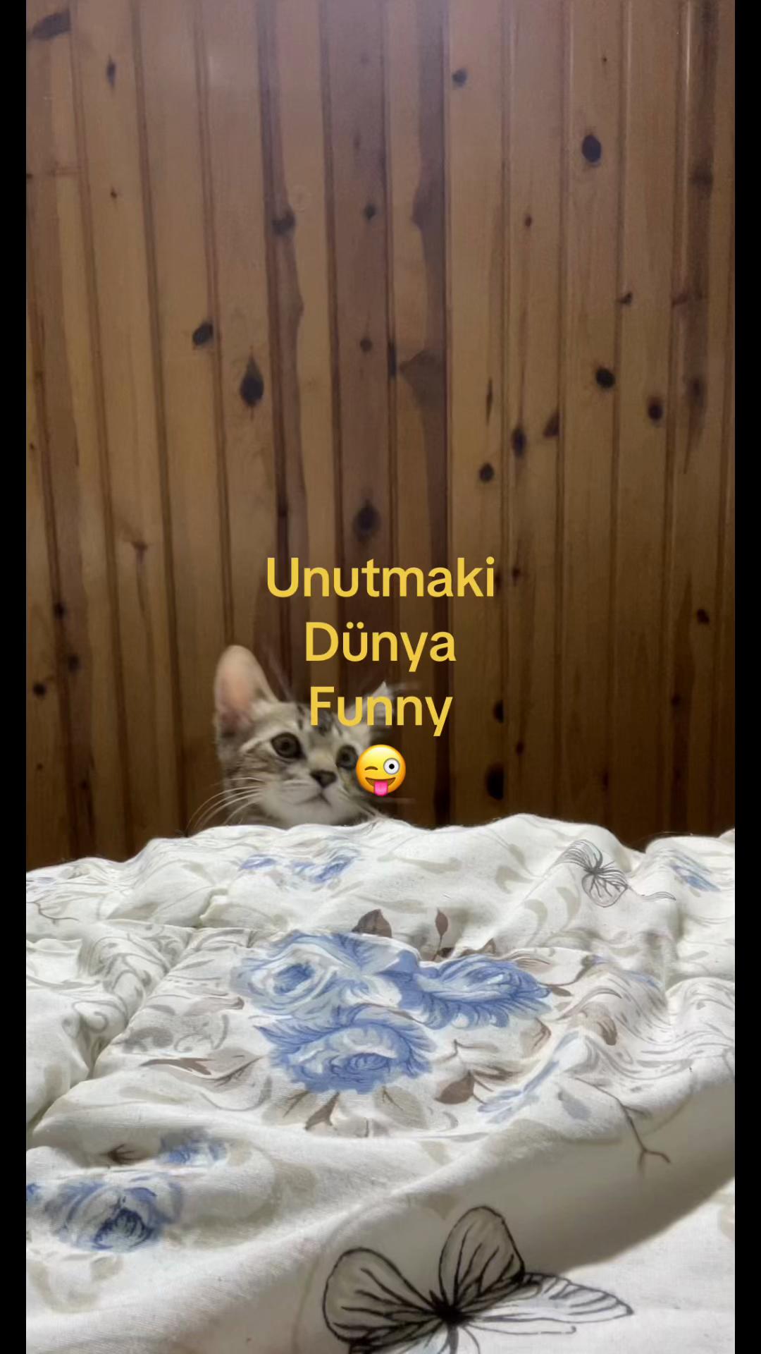 @zeliş ★