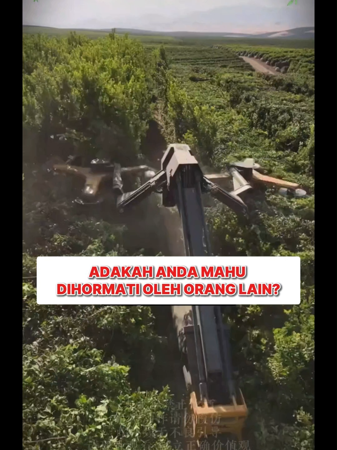 @Langkah Kejayaan