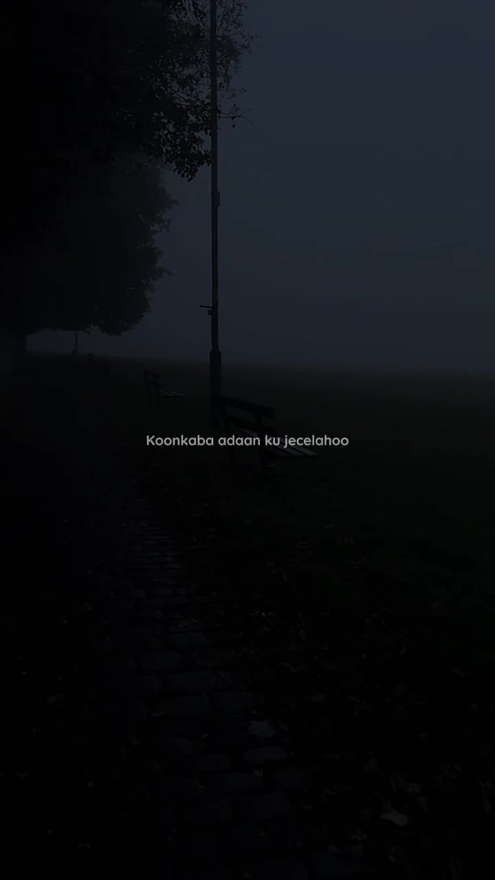 @𝗠𝗨𝗦𝗔𝗔𝗟𝗜𝗗