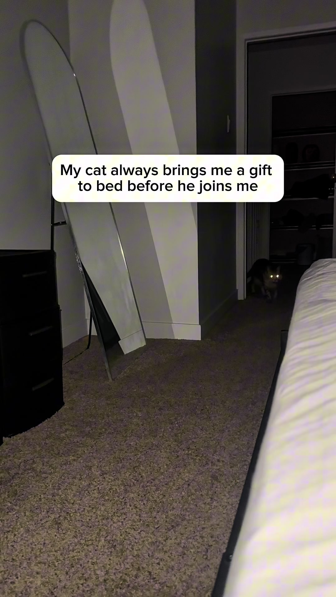@Three Nawty Cats