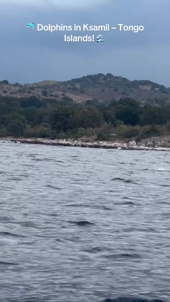 @KSAMIL_ALBANIA