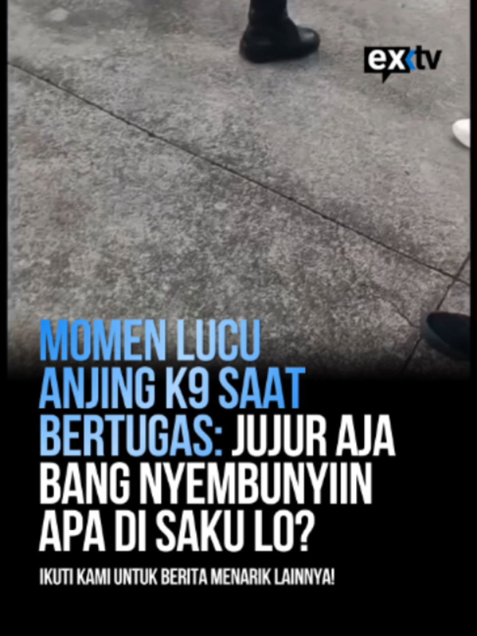@Expressi Media