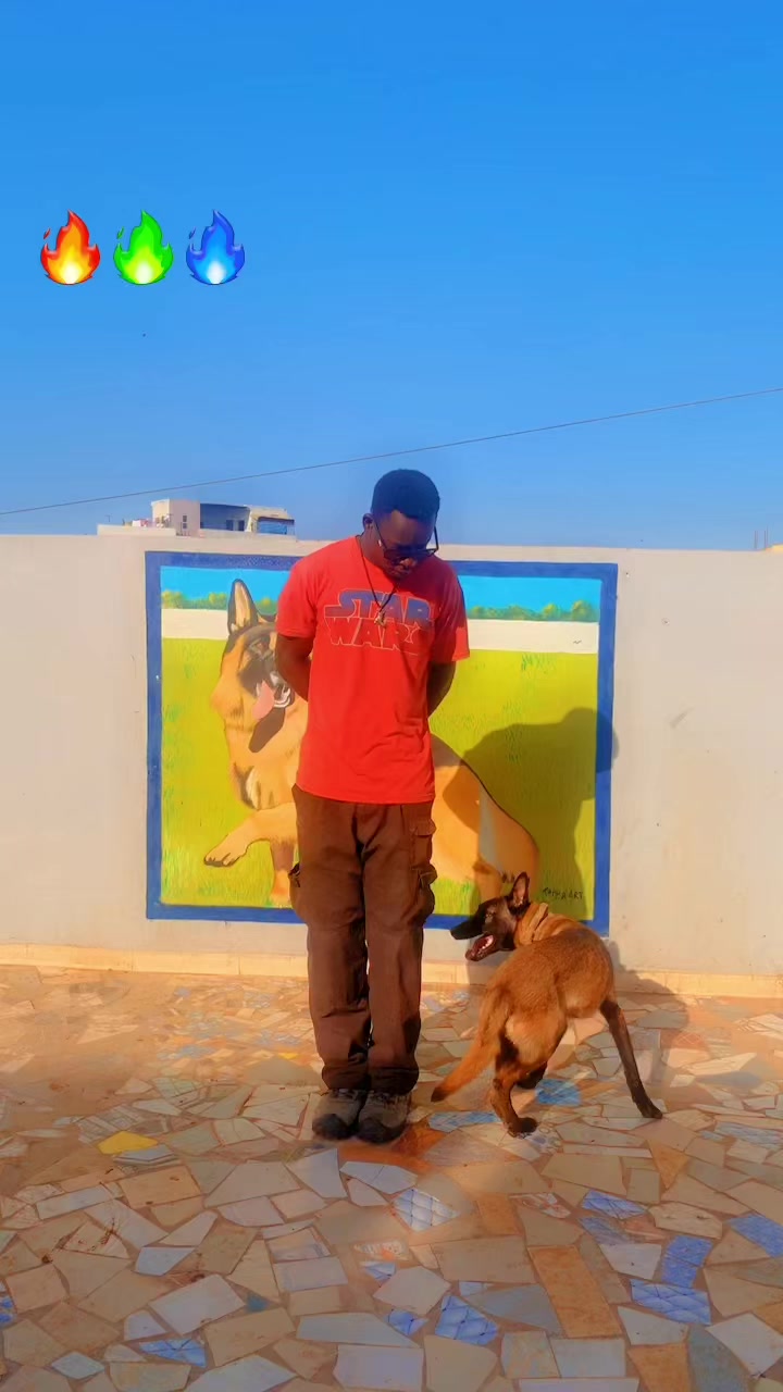@G.I.C.N 🇸🇳🐾Ma&icirc;tre Weuz🐕&zwj;🦺