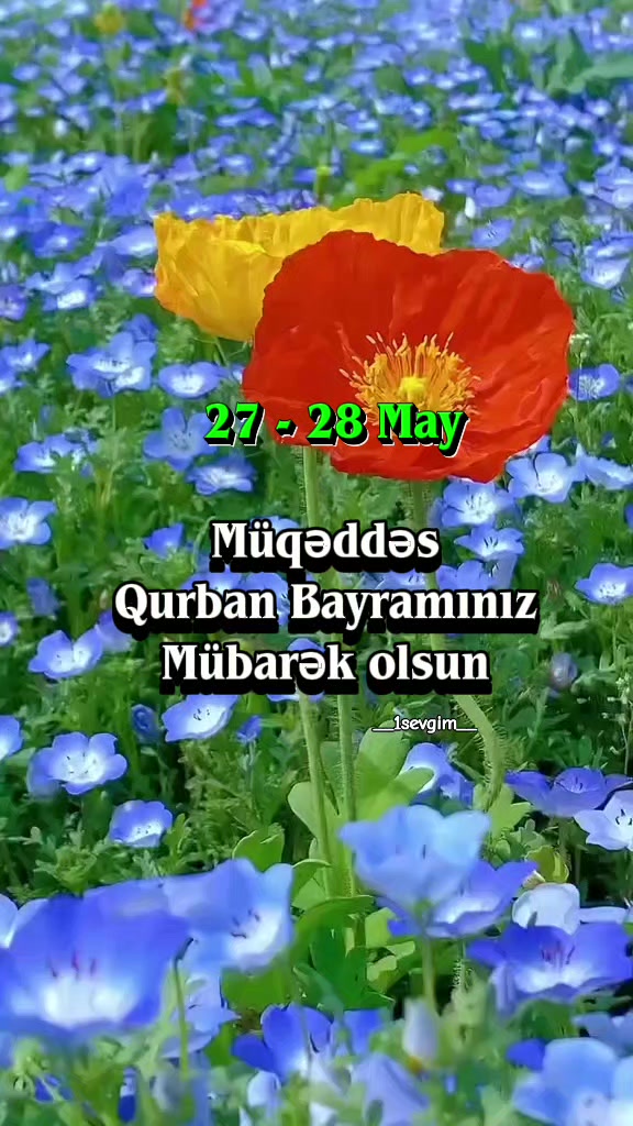 @⚜️𝙎𝙀𝙑𝙂İ𝙈⚜️