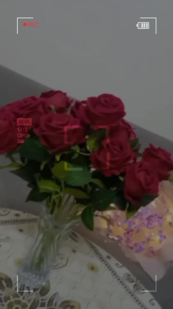 @ياسمين شام
