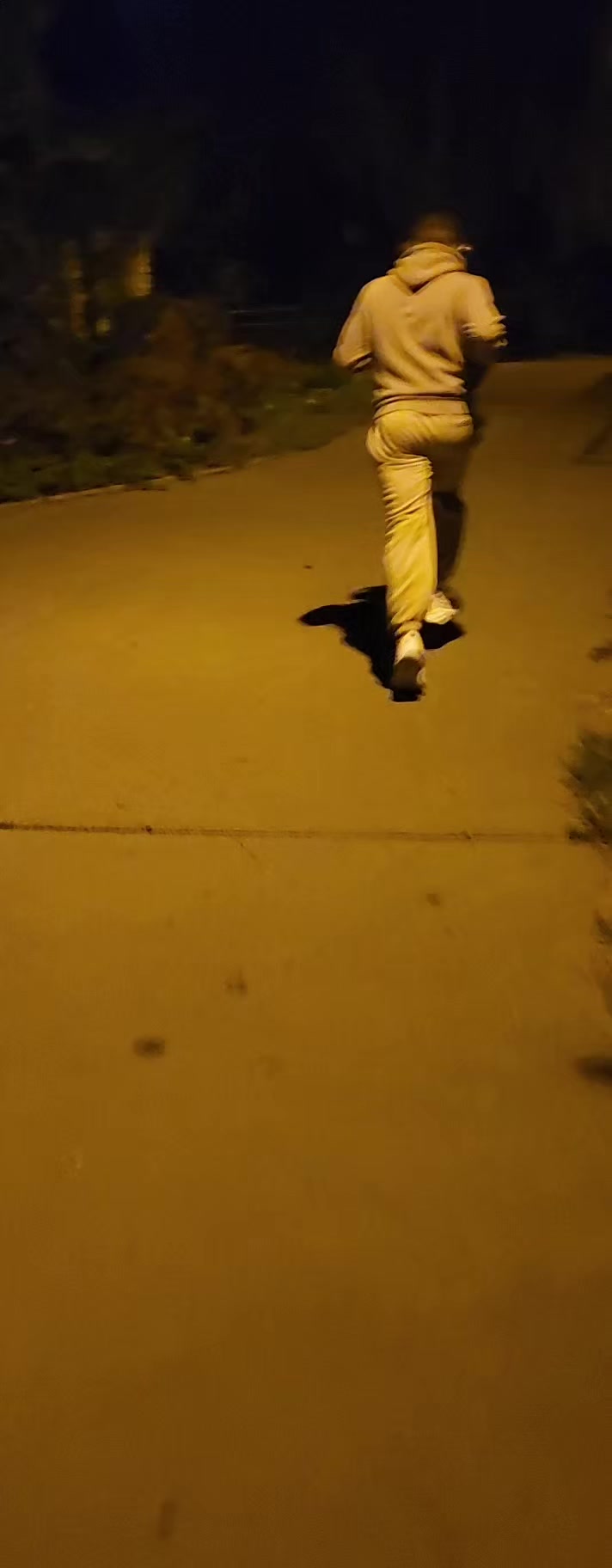 @666DRACO