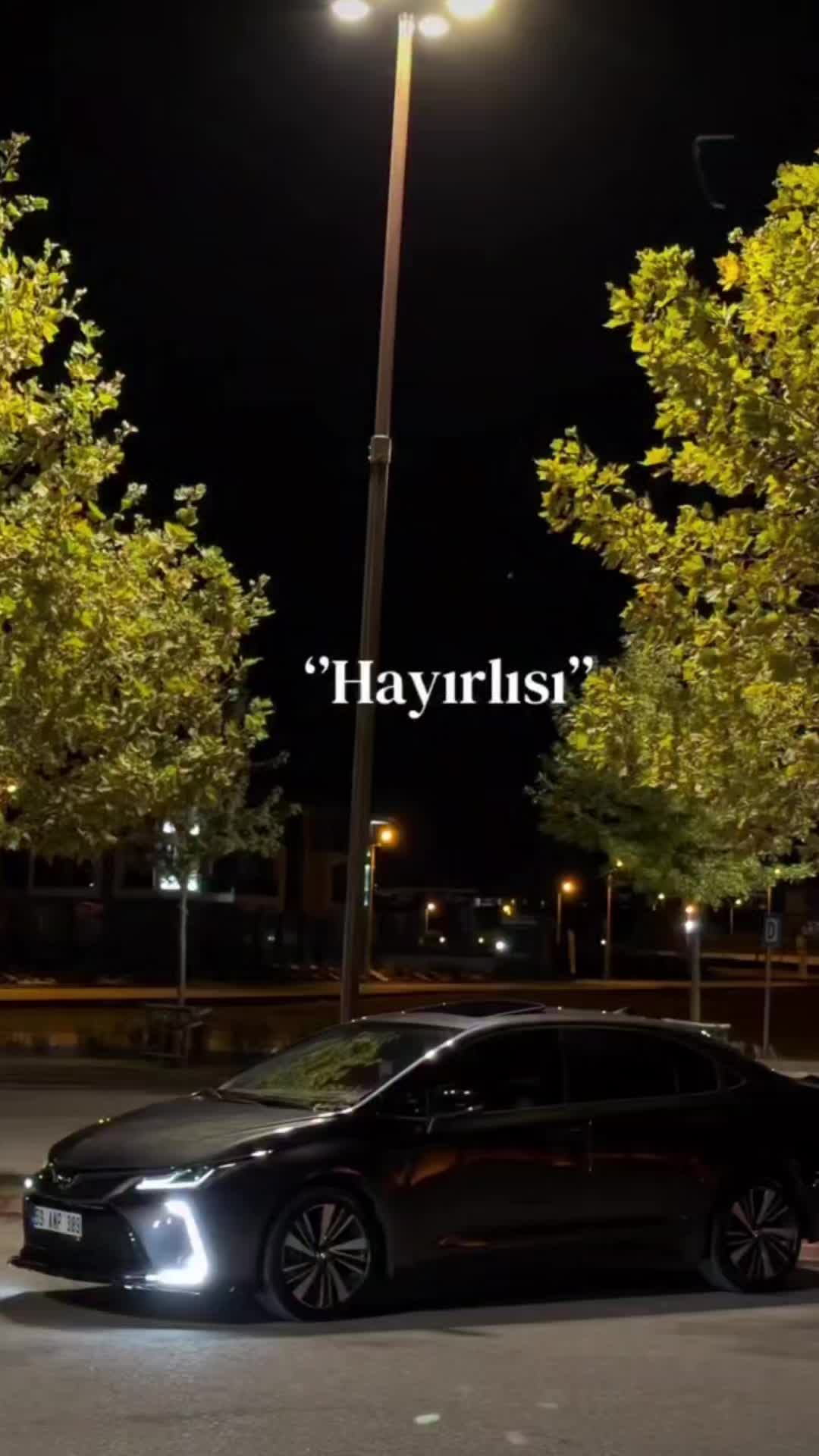 @Hakan Alkız