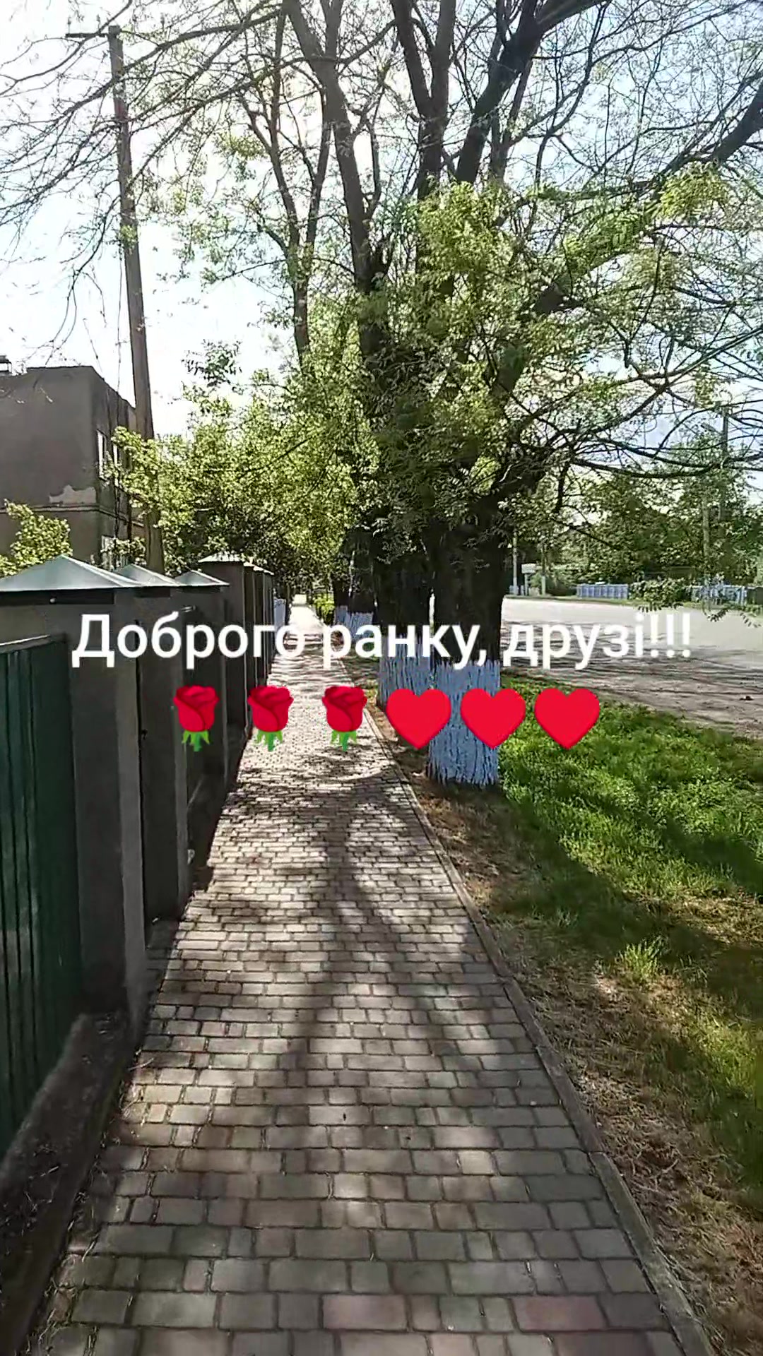 @Светлана Цокан