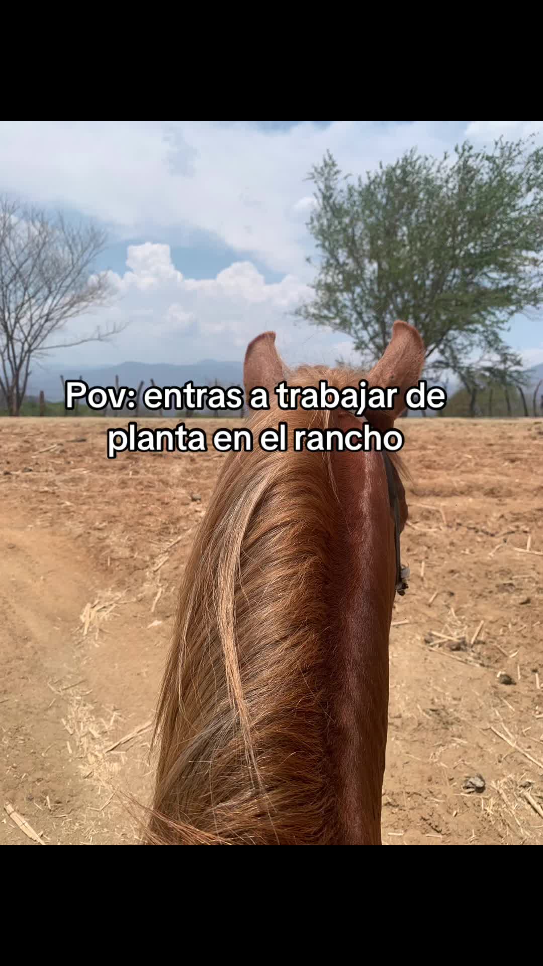 @juan_renteria1