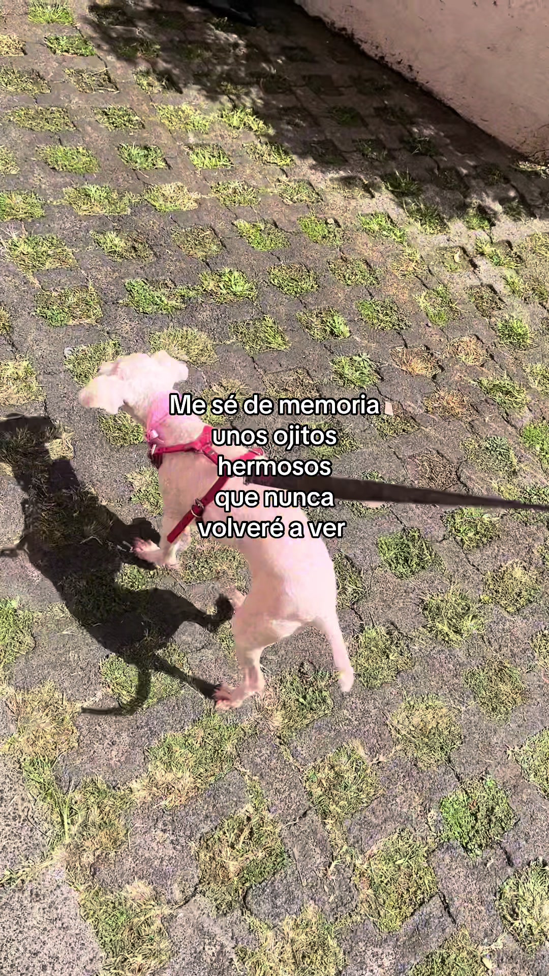 @Vicky