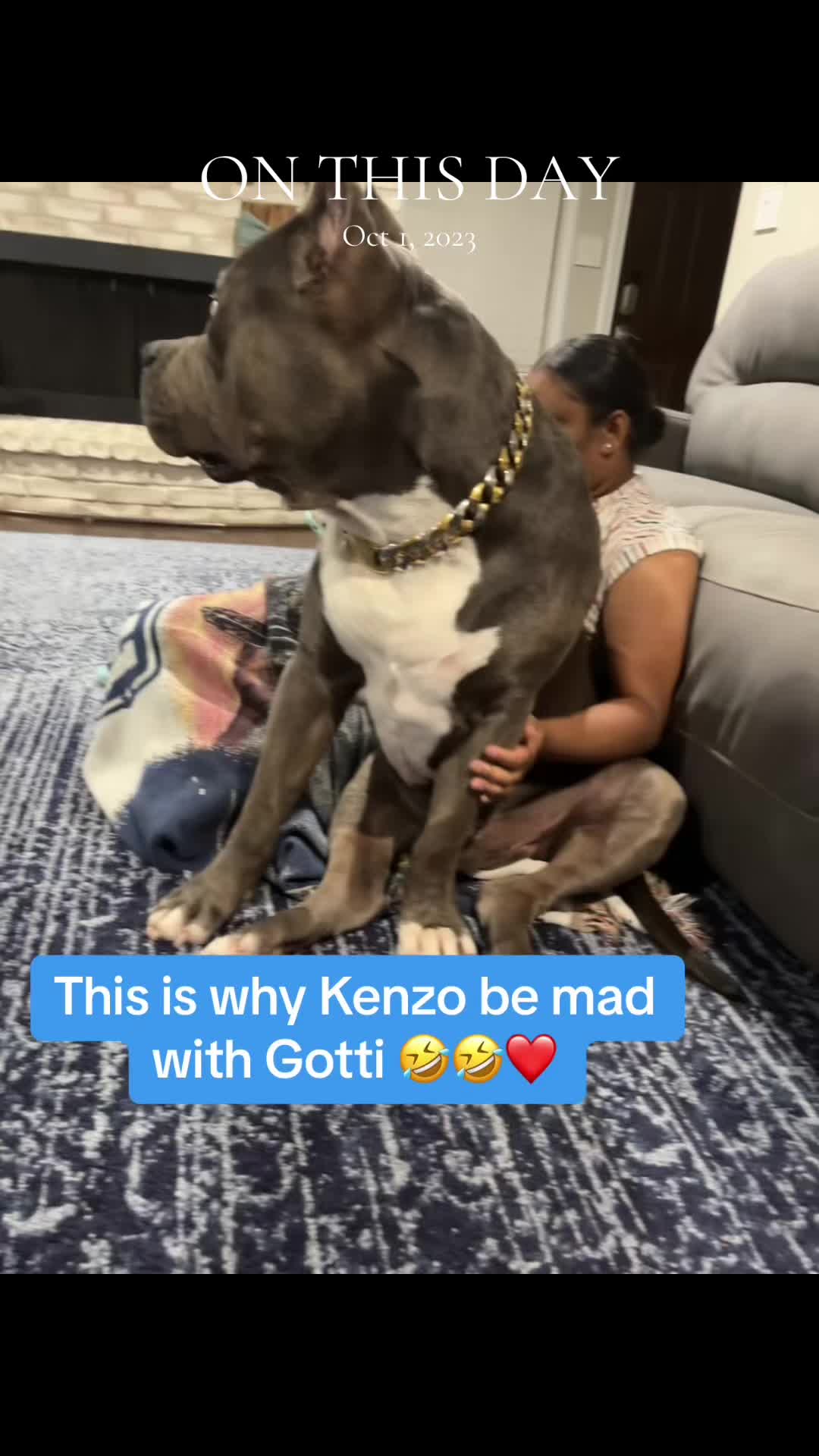 @King Gotti 👑