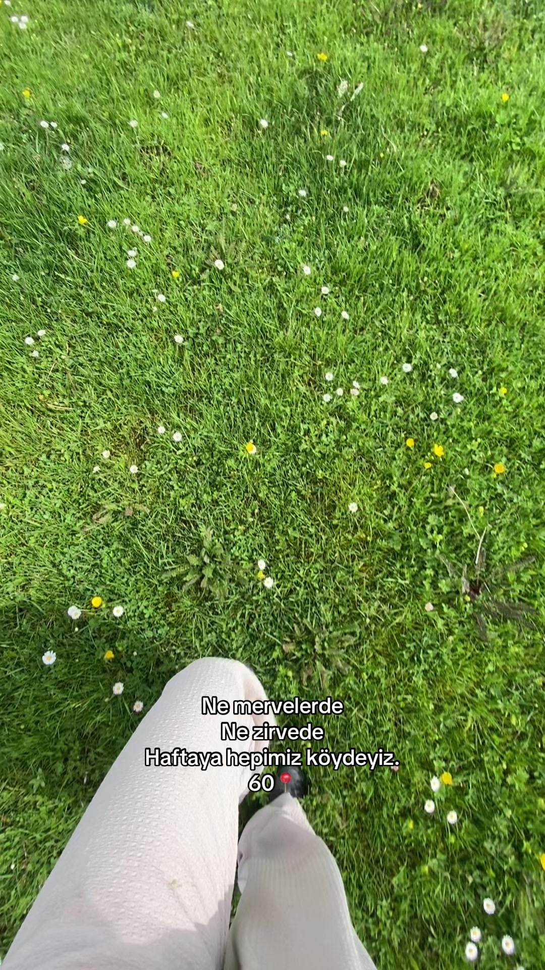 @𝐀𝐥𝐞𝐲𝐧𝐚