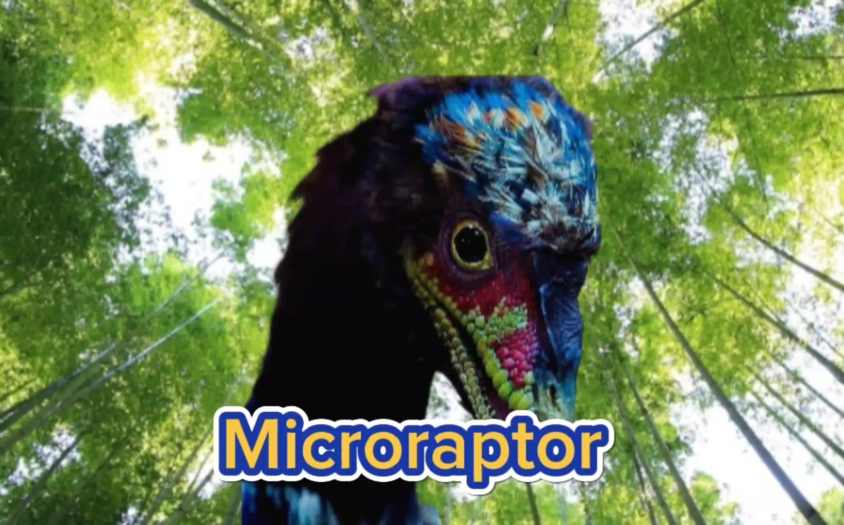 @MatrexDino Kids