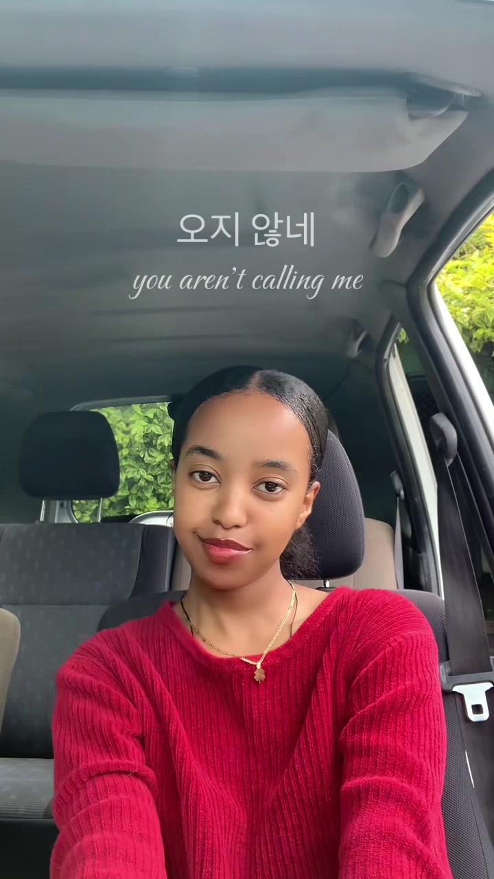@METI/메티☽̶☾