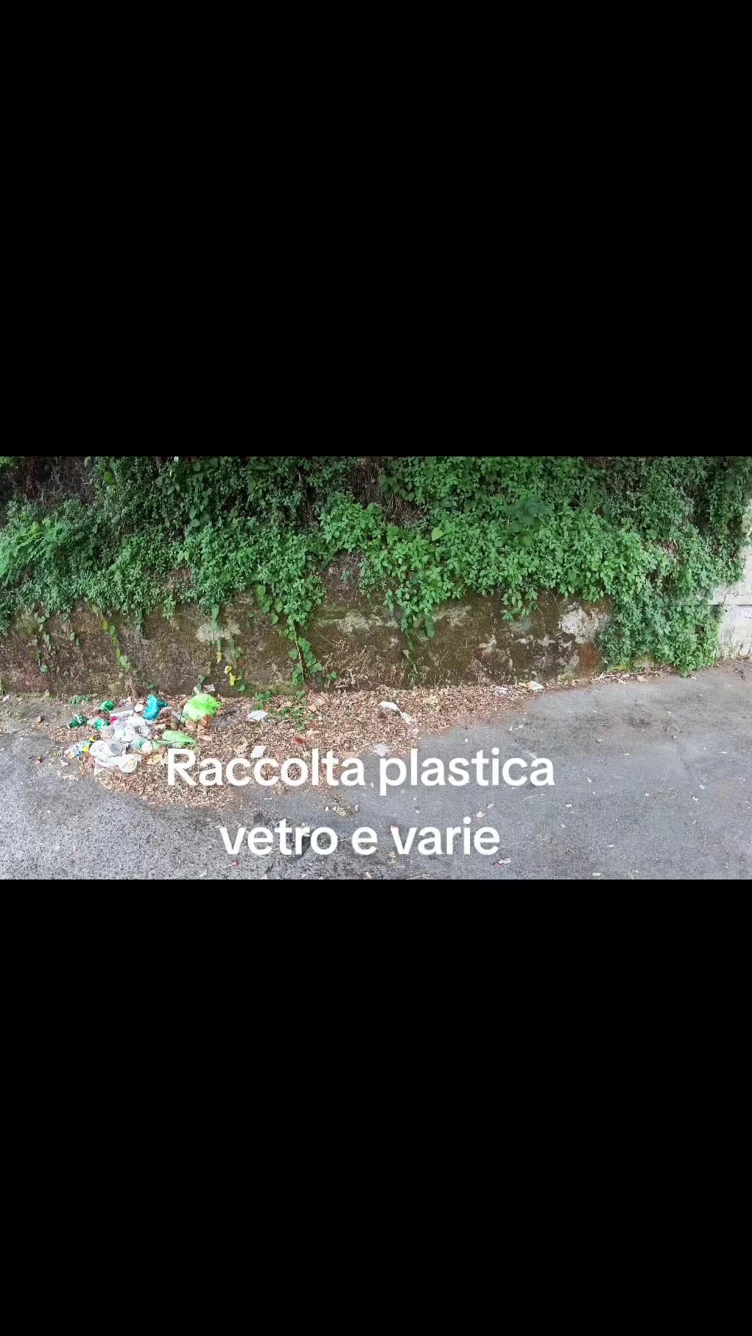 @Andrea Liguori Official