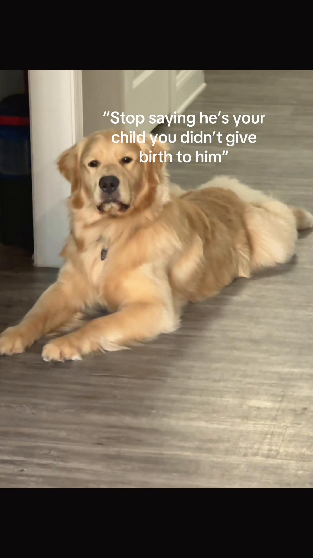 @Tucker_tha_Golden