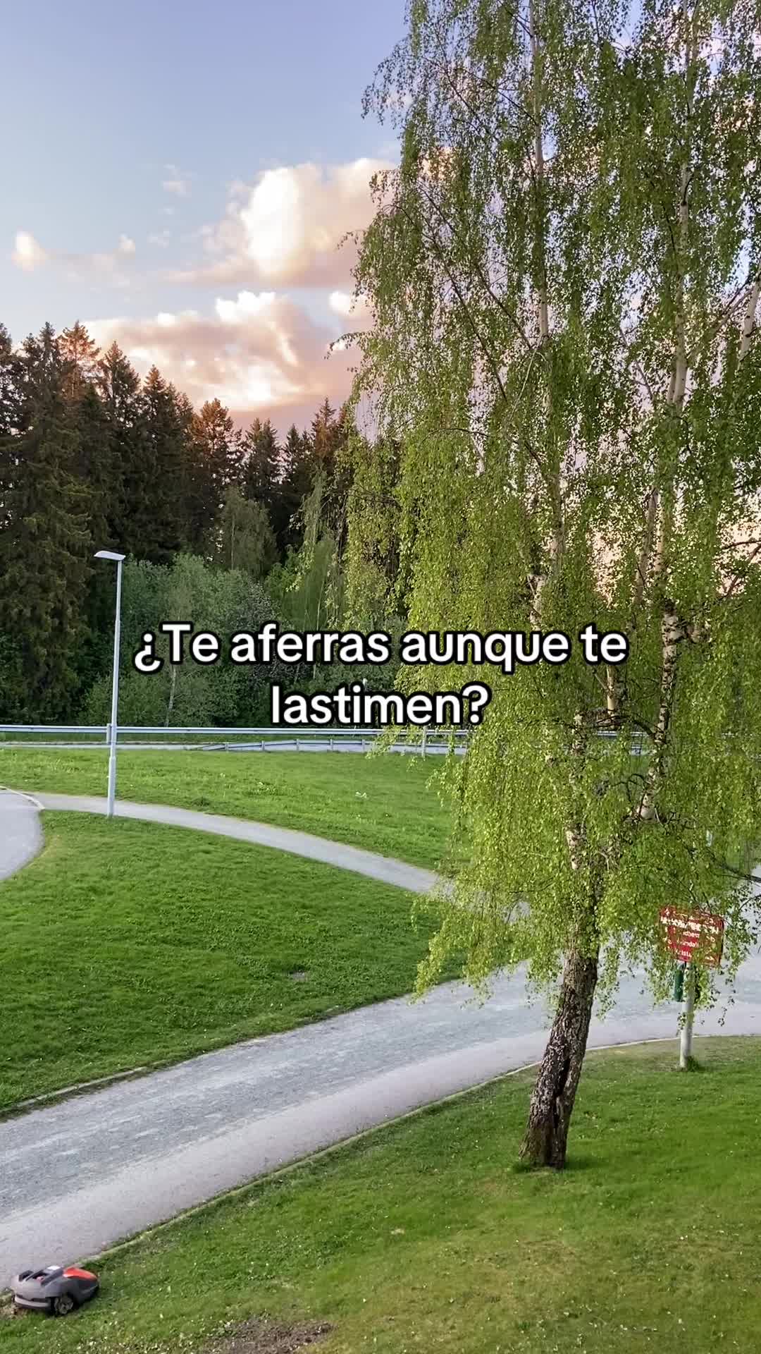 @Ana Garla