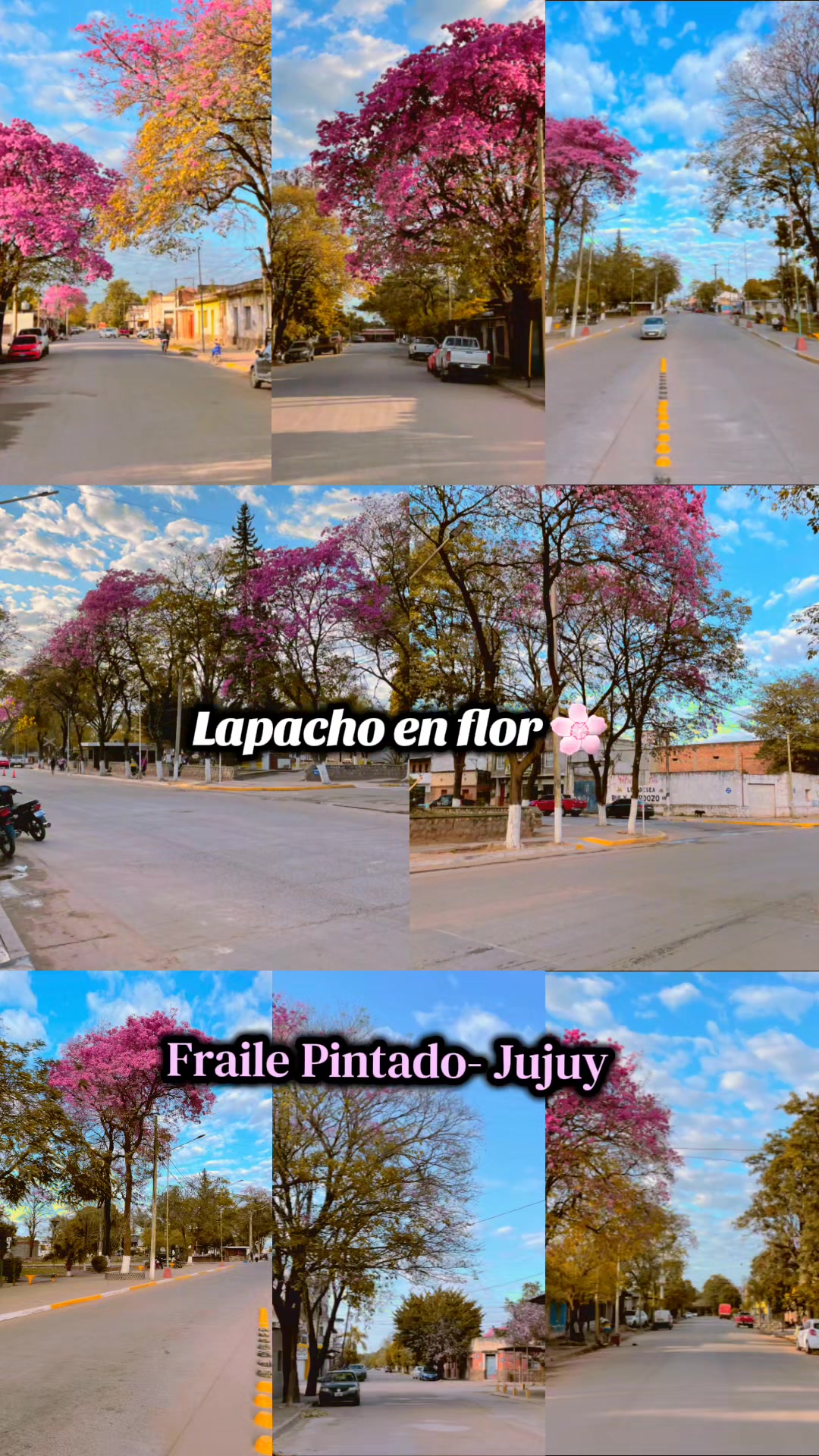 @Ricky Aguilar