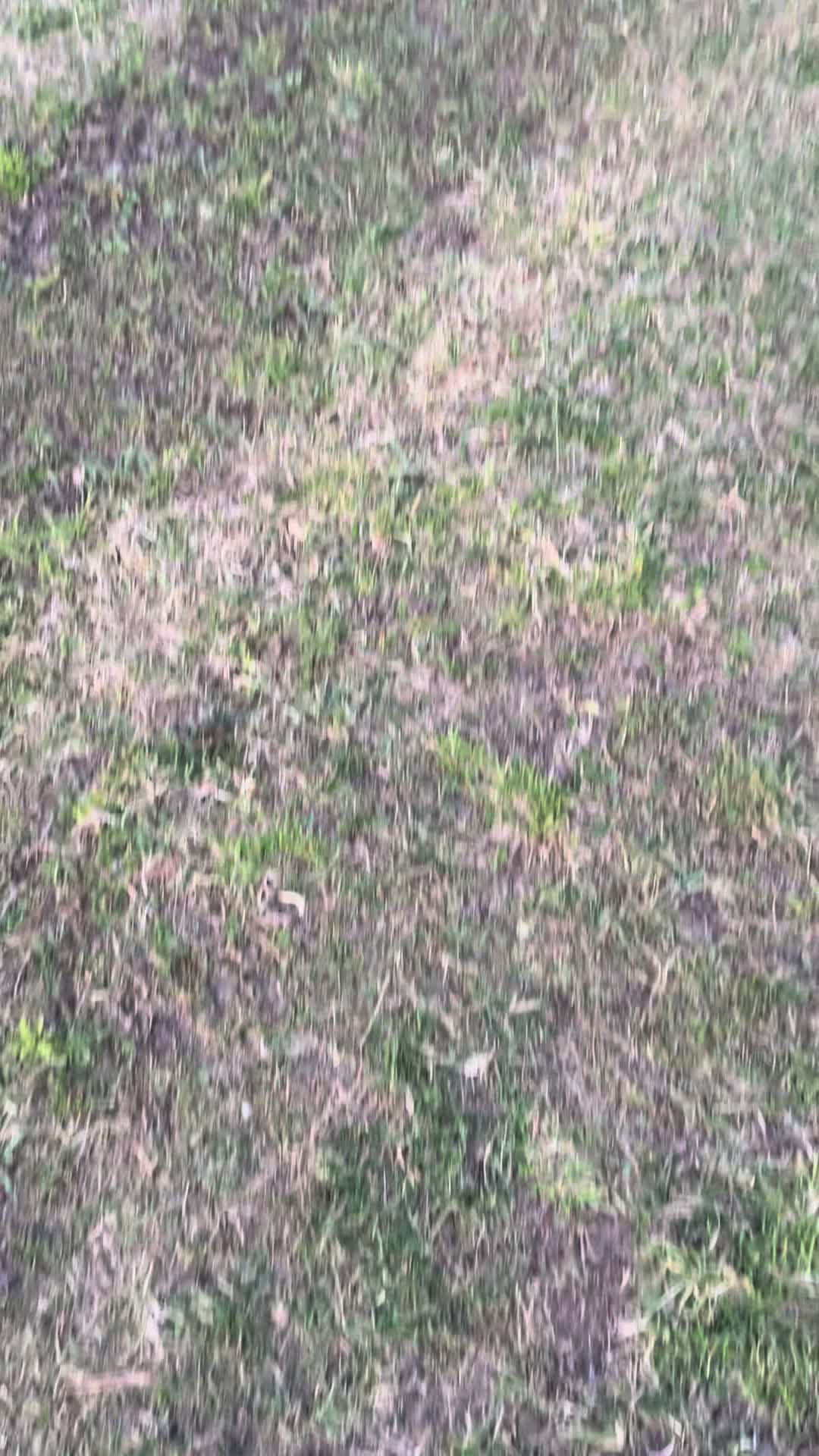 @kewsovod38