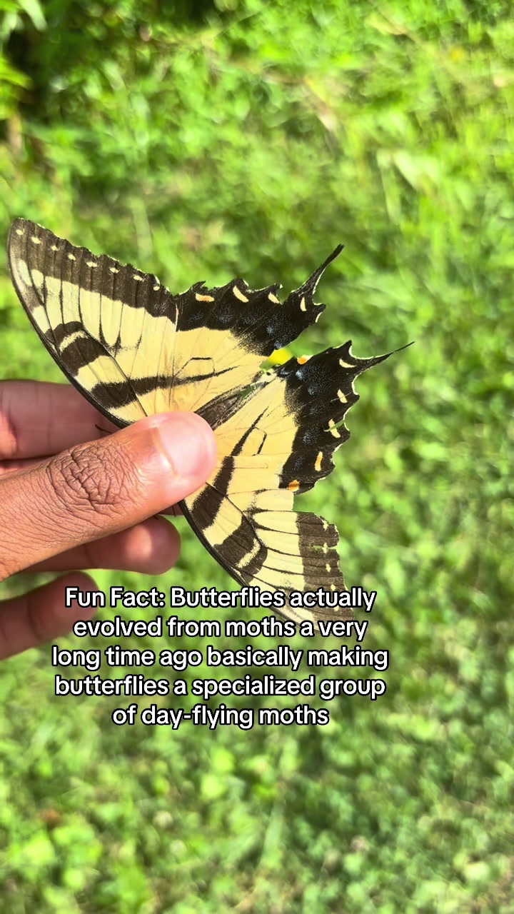 @⚛️Blakeee_Butterfl1y✝️