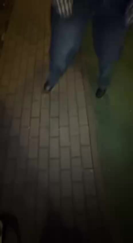 @triviatta